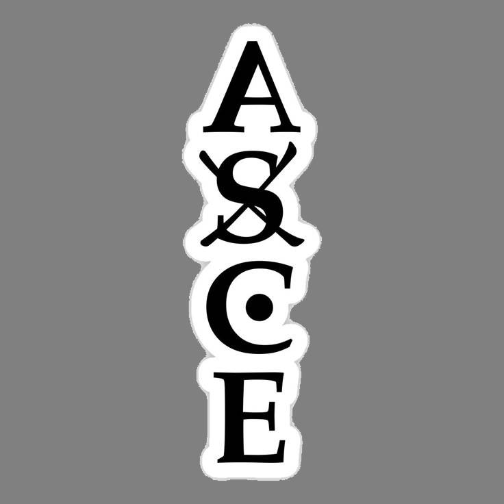 “A$CE” (stylized ACE logo / sticker)