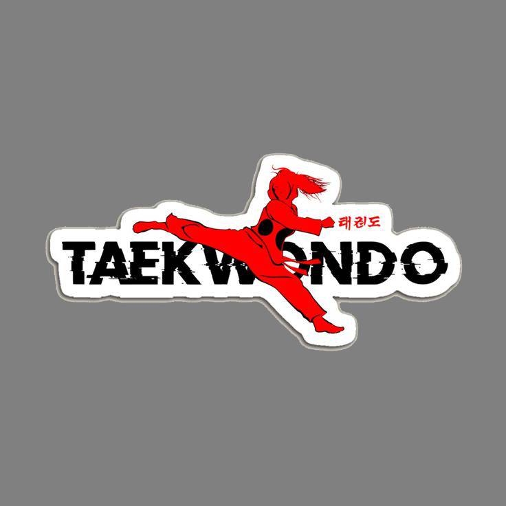 Taekwondo  Sticker